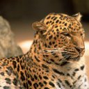 ���� Orange_juice, ������, 31 ��� - ��������� 8 ���� 2011 � ������ �������