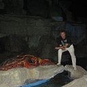  0, , 65  -  20  2012    