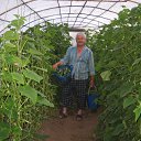 ���� ������, ��������, 68 ��� - ��������� 24 ���� 2009 � ������ ���� ����������