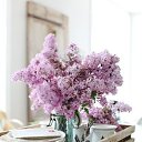  Back To Real Life, , 57  -  20  2012    