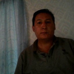 �����, ������-��-����, 48 ���