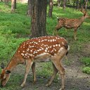 ���� Sofia, ������, 30 ��� - ��������� 18 ������� 2009 � ������ ��������