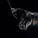 ���� ����, �������, 43 ���� - ��������� 25 �������� 2012 � ������ �������