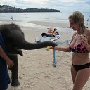 .      ...............    