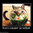  , , 50  -  24  2011   ))))))