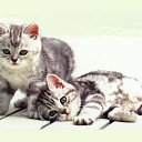 ���� Orange_juice, ������, 31 ��� - ��������� 1 ������� 2011 � ������ �������