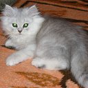 ���� Katkas, �������, 45 ��� - ��������� 5 ������ 2009 � ������ ����������