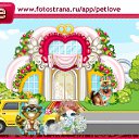 ���� �����, ������ ��������, 57 ��� - ��������� 20 ������ 2011 � ������ �PetLove�