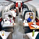 ���� ������, �����-���������, 50 ��� - ��������� 16 ������ 2009 � ������ ������ ���� ����� � ������