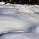 ���� ���������, ������ - ��������� 11 ����� 2012 � ������ �����