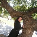 ���� ������, ������, 44 ���� - ��������� 28 ������� 2012 � ������ ���� ����������