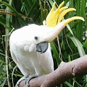 ���� �������, ������ - ��������� 13 ������ 2012 � ������ �������