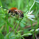 ���� �����, ��������, 45 ��� - ��������� 3 ������� 2010 � ������ ����� �������