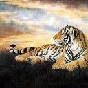 ���� ����� - ���������� ��������!!!, �����������, 56 ��� - ��������� 14 ������� 2009 � ������ ���������� �������Ż