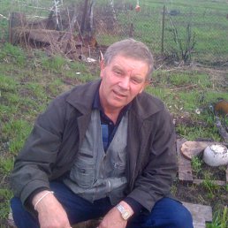 Сергей, 67, Будогощь