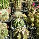 ���� ������, ������, 69 ��� - ��������� 5 ������ 2013 � ������ ���� ��������� ����������