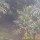 ���� ���������, ������-��-����, 62 ���� - ��������� 5 ������ 2010 � ������ �������