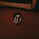 ���� ���� ��, �������, 49 ��� - ��������� 15 ������ 2011 � ������ ���� ���.�