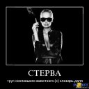 ���� �������, �����-���������, 47 ��� - ��������� 2 ���� 2013 � ������ �����ܻ