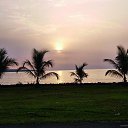 ���� Fox, �����������, 44 ���� - ��������� 4 �������� 2012 � ������ ��������