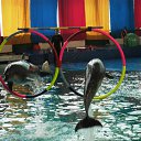 ���� �����, ���������, 60 ��� - ��������� 4 ��� 2011 � ������ �� �...�