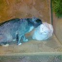 ���� ���������, ����, 53 ���� - ��������� 17 ������� 2012 � ������ ������