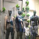 ���� ����, �����������, 38 ��� - ��������� 16 ������ 2011 � ������ ��� ����