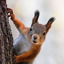 ���� ����, �������� - ��������� 3 ��� 2010 � ������ ��������� ��������