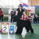  , 26.02.12 ))    
