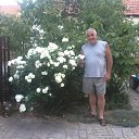 ���� Aleksa, ��������, 58 ��� - ��������� 30 ���� 2013 � ������ ���� ����������