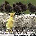 ���� Red, ������� - ��������� 18 ������ 2011