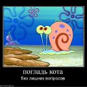 ���� ������, ��������� - ��������� 8 ������� 2011 � ������ ������ ���!!!!!�