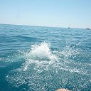 ���� �������, �����-���������, 40 ��� - ��������� 21 ����� 2013 � ������ ���� ����������