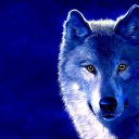 ���� �����, ������ ��������, 48 ��� - ��������� 1 ������� 2012 � ������ ���������� ������