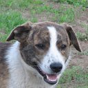 ���� ������, ������ - ��������� 29 ��� 2012 � ������ �������