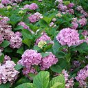  , - -  9  2010      ( )