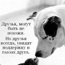 ���� ����), ���������� - ��������� 30 ������ 2009 � ������ ���������