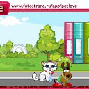  , , 74  -  20  2010   PetLove