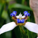 ���� Edgarihe, ����������� - ��������� 12 ������ 2011