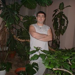 ��������, ��������, 49 ���