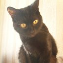 ���� �������, ������, 57 ��� - ��������� 31 ������� 2012 � ������ ���� ����������