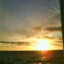  Serzh Van Der Maaremaan,  -  14  2009   