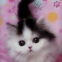 ���� ������ �����, ������, 24 ���� - ��������� 9 ���� 2011 � ������ ������