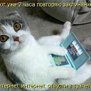 ���� Murad, �����-���������, 49 ��� - ��������� 26 ������ 2013 � ������ ���� ����������