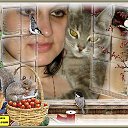 ���� L� Comtesse, ���������, 47 ��� - ��������� 3 ���� 2013 � ������ ���� ����������
