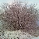 ���� ������, ���������, 39 ��� - ��������� 14 ������� 2009 � ������ �74 �����