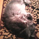 ���� ���, �����������, 46 ��� - ��������� 19 ������� 2009 � ������ �������