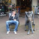 ���� ����, ������������, 43 ���� - ��������� 8 ������ 2012