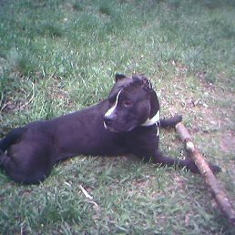 ������, �����-���������, 60 ���