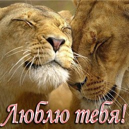 ���� ����, ������ - ��������� 31 ��� 2013